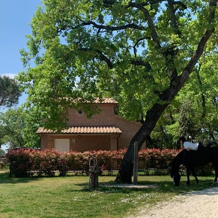 Вілла Casina Miriano Кастільйоне-дель-Лаго Екстер'єр фото