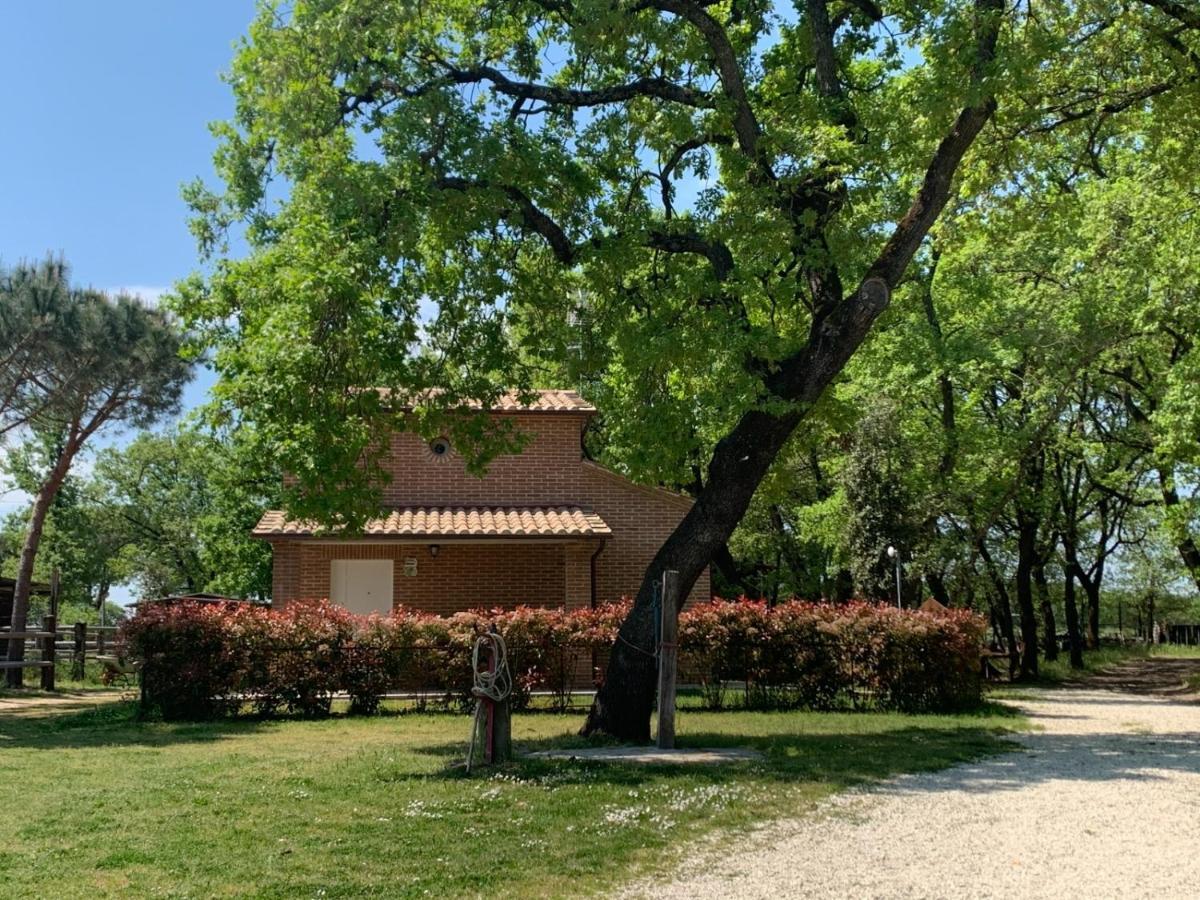 Вілла Casina Miriano Кастільйоне-дель-Лаго Екстер'єр фото